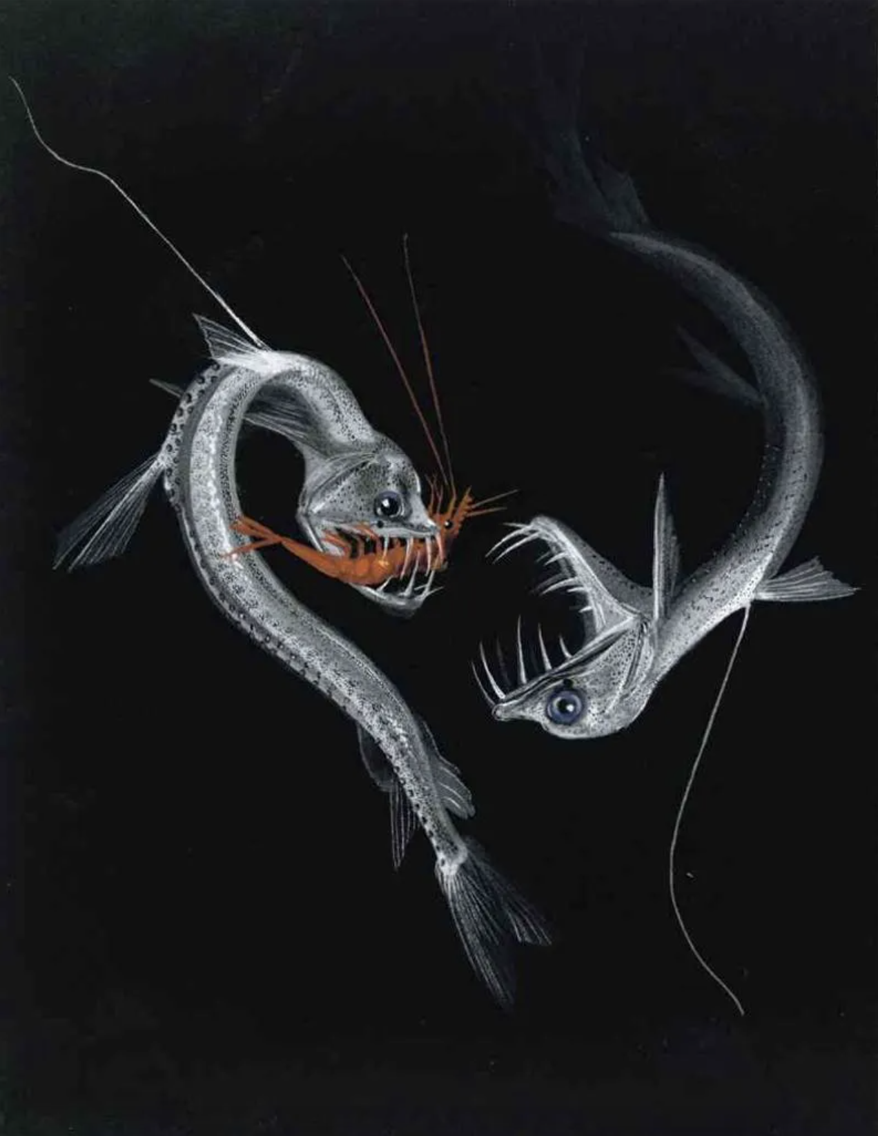 deep sea art of Else Bostelmann | miss mustard seed